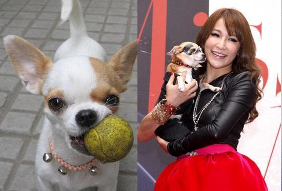 娱乐圈爆料50条狗,揭秘明星背后的狗血故事 第3张 娱乐圈爆料50条狗,揭秘明星背后的狗血故事 第3张